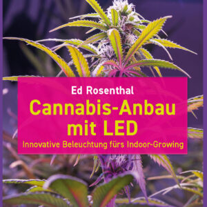 Cannabis-Anbau mit LED