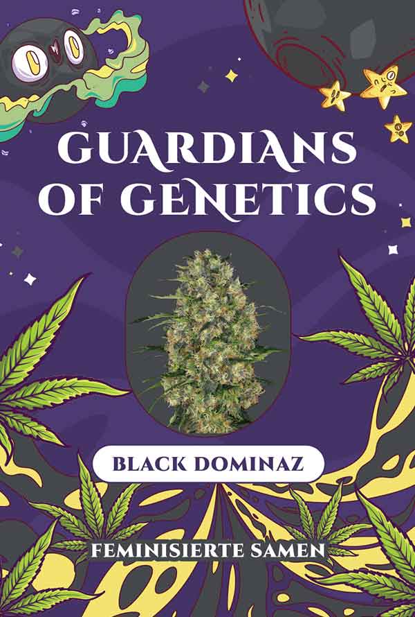 Black Dominaz – Bild 2