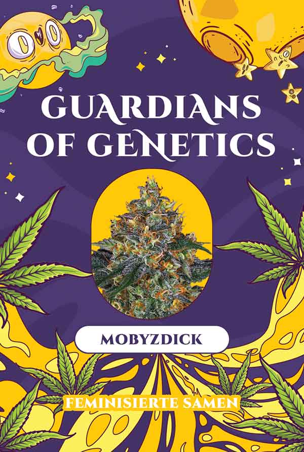 MobyzDick – Bild 2