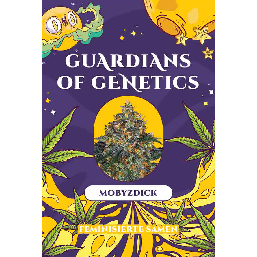 MobyzDick – Bild 3