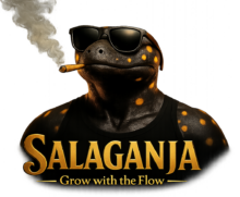 Salaganja