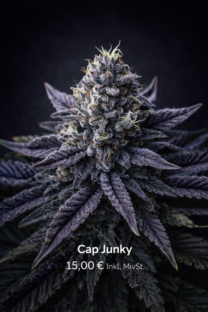 Cap Junky