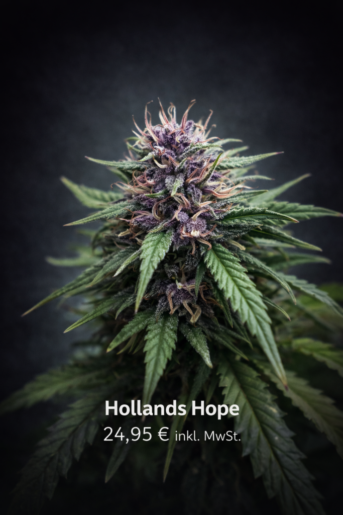 Hollands Hope