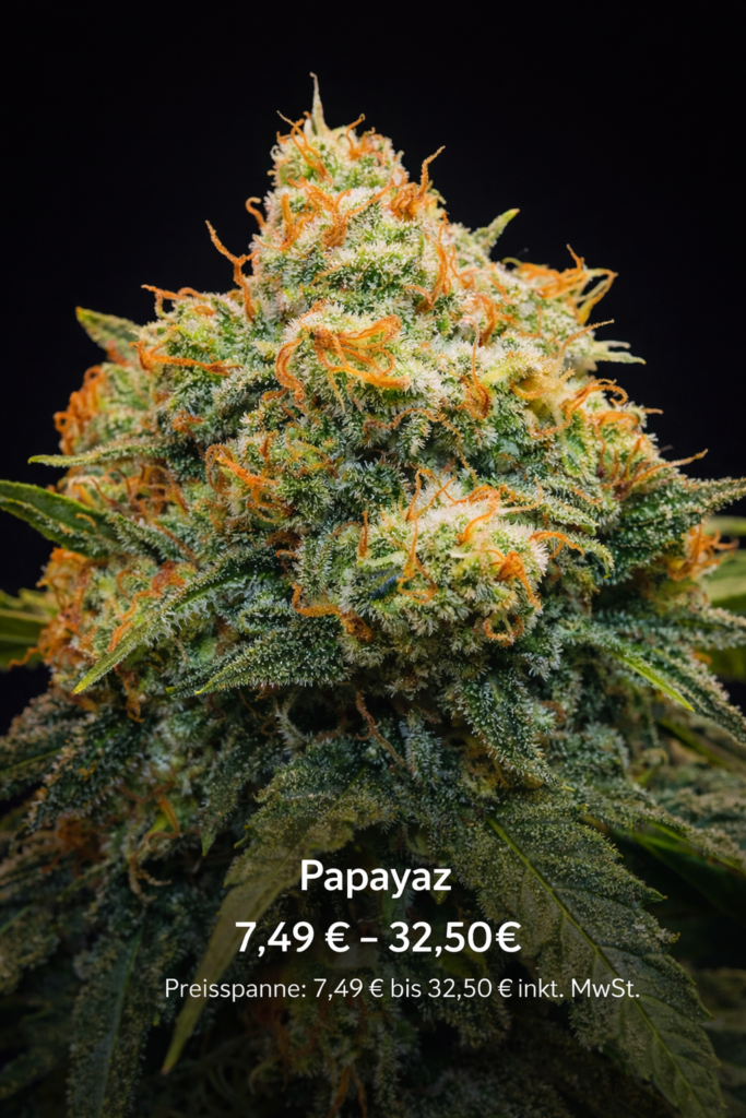 Papayaz